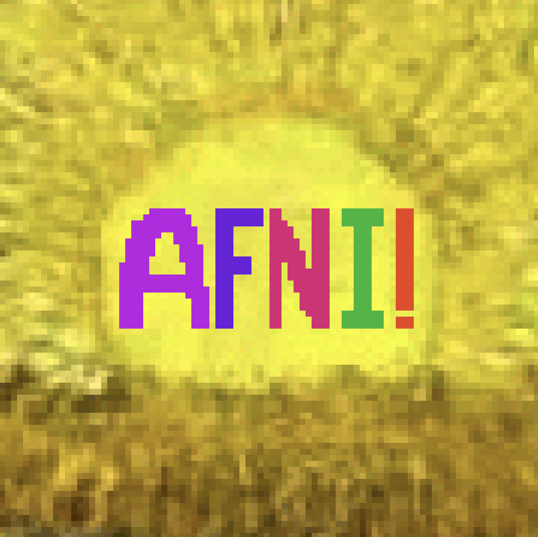 software_img_afni.png