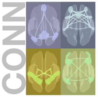 software_img_conn.png
