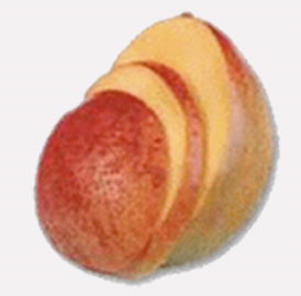 software_img_mango.png